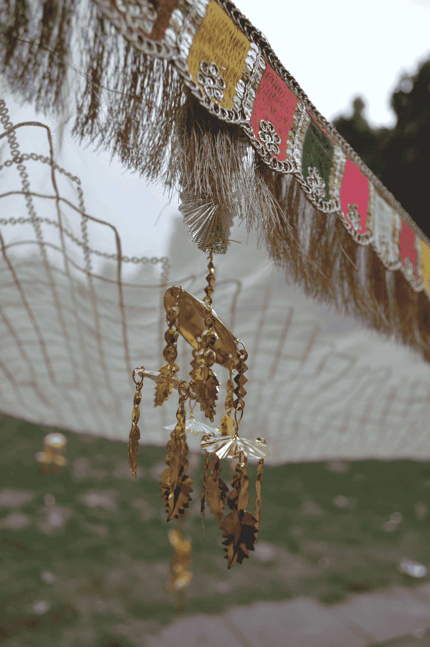 Organza
