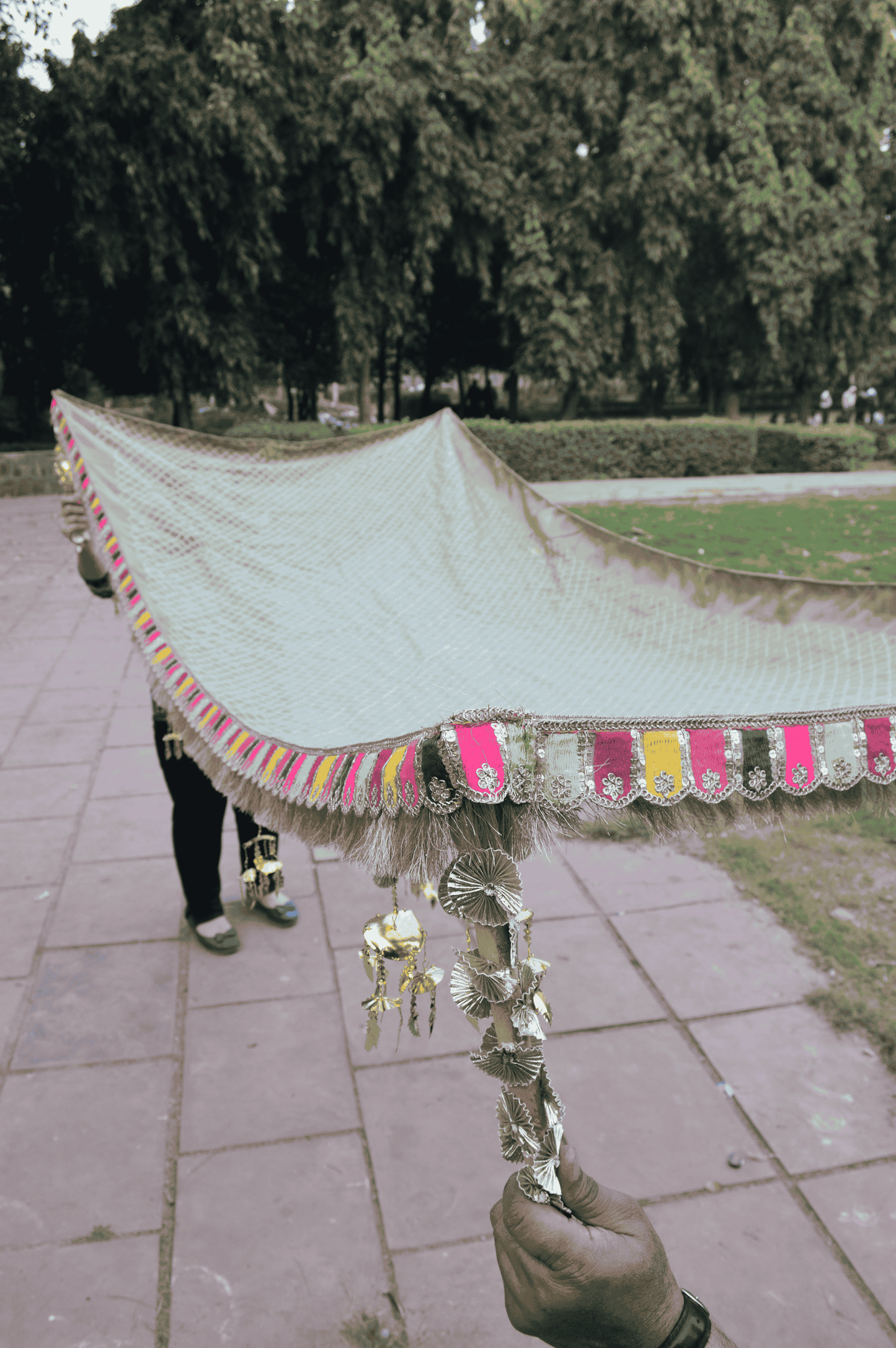 Organza