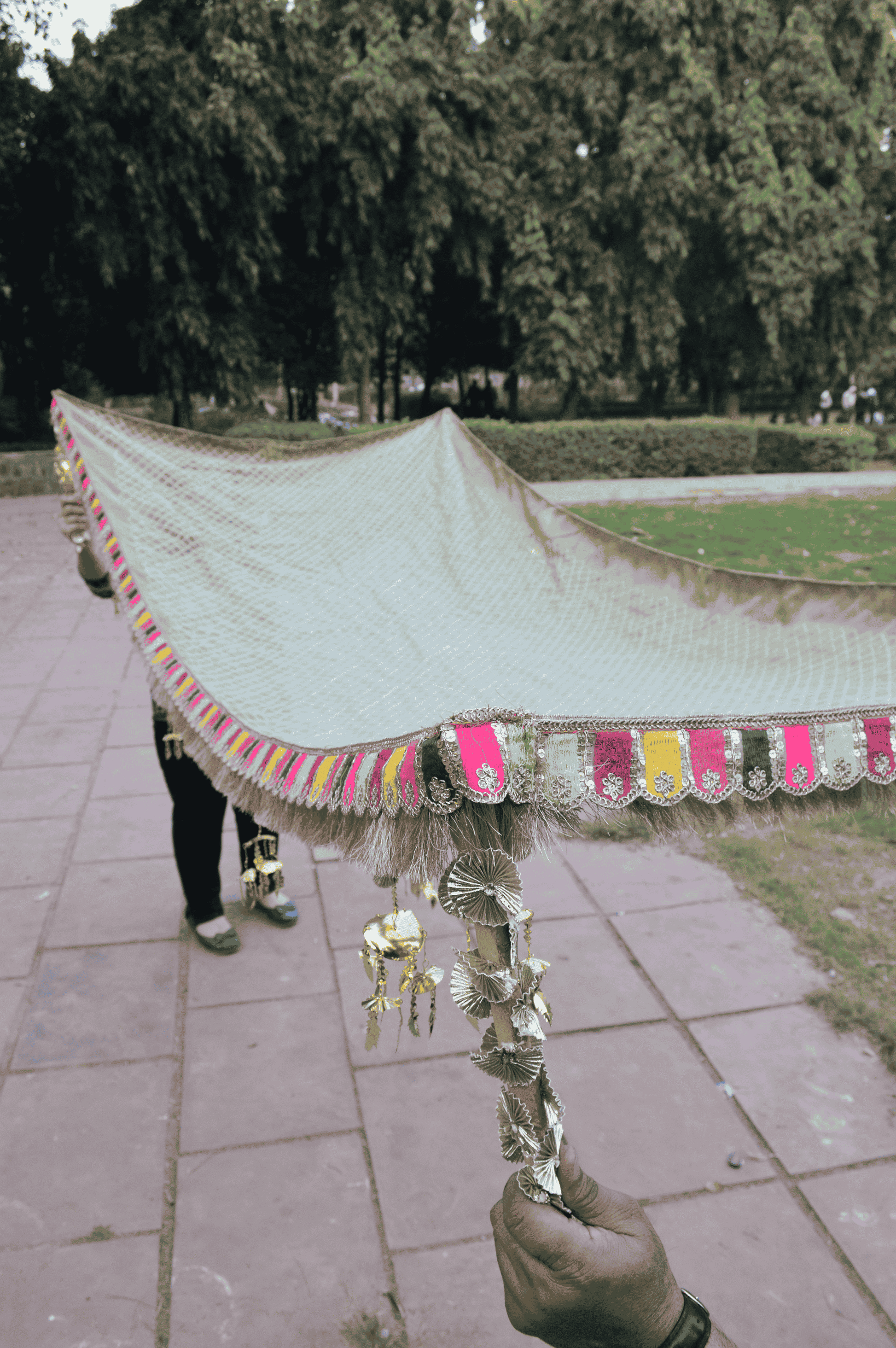 Organza